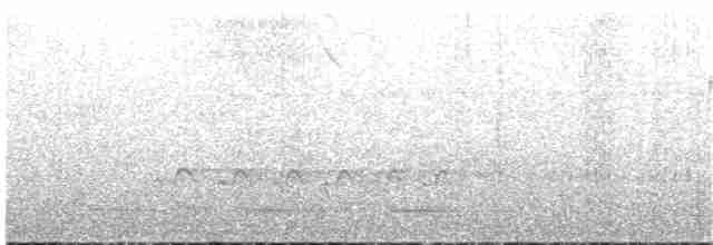 Сичик-горобець крихітний - ML133999591