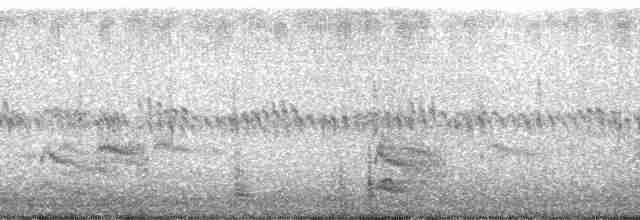 fiskekråke - ML13411