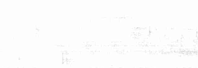 Silberreiher (egretta) - ML134139