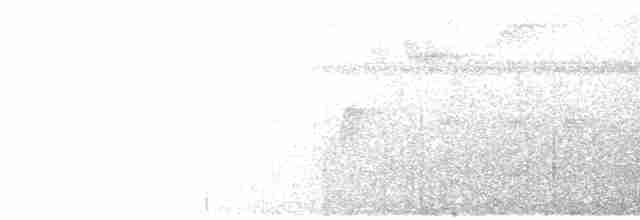 Epaulet Oriole (Moriche) - ML134163101