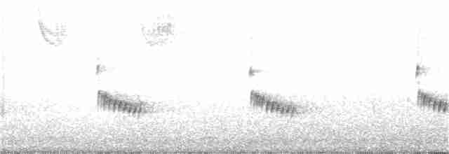 Karolina Çıtkuşu - ML134182421