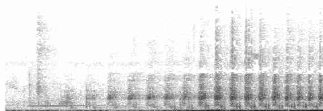 Белокрылая пенелопа - ML134185391