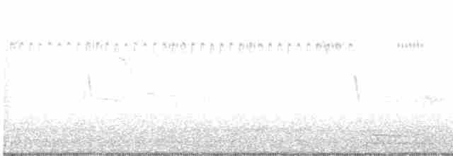 Amerika Çütresi (purpureus) - ML134187841