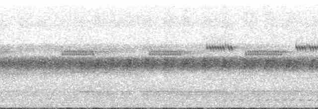 Рораймская совка (roraimae) - ML134218
