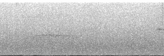 Schieferameisenvogel - ML134240