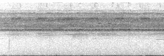 Рораймская совка (roraimae) - ML134292