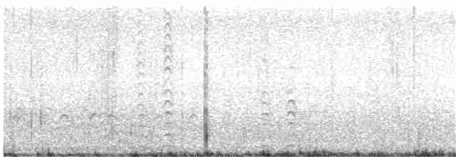 Атлантическая чайка - ML134299211