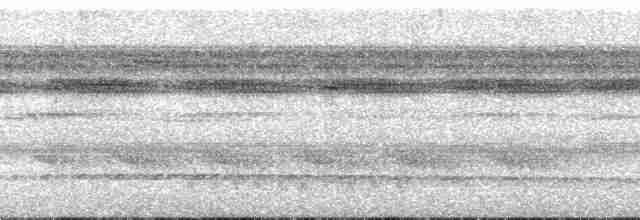 Kara Başlı Karıncakuşu (rufifrons/subcristata) - ML134305