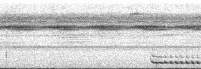 Ardıç Yerçavuşu - ML134306