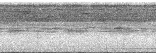 Bändernachtschwalbe [semitorquatus-Gruppe] - ML134307