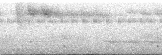 Тиран-інка буроголовий - ML134310