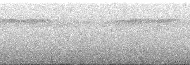 Trogon aurore - ML134312