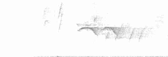 Kuzeyli Kara Yüzlü Kocabaş - ML134394851
