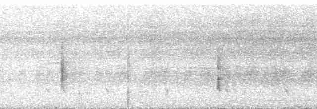 Riverbank Warbler (Northern) - ML134406