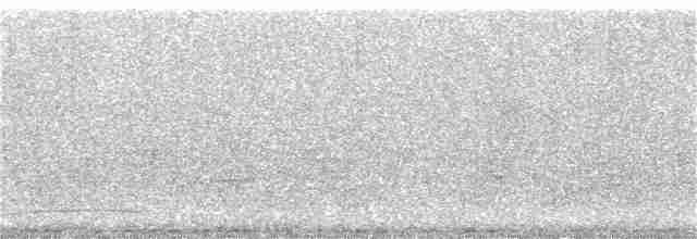 Spotless Starling - ML134488161