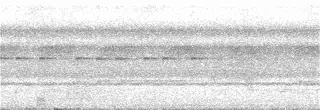 White-flanked Antwren - ML134503081