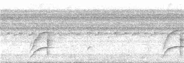Bluish-fronted Jacamar - ML134505201