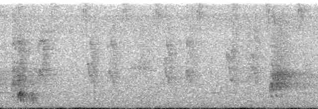 Band-tailed Antshrike - ML134517
