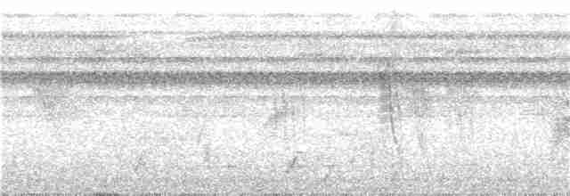 Weißbandschwalbe - ML134530081