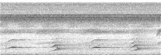 White-throated Toucan - ML134532111