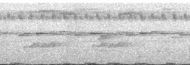 gråvingetrompetfugl (crepitans) - ML134591