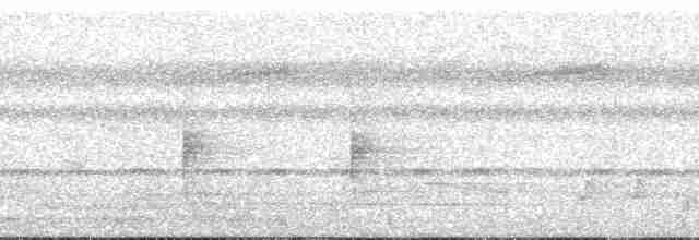 Riverbank Warbler (Northern) - ML134592