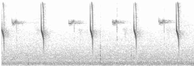 kolibřík skvostný - ML134611061