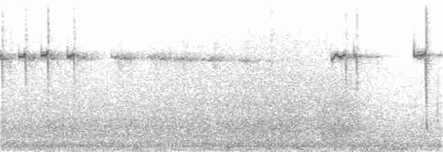 Колібрі-самоцвіт синьогорлий - ML134611471