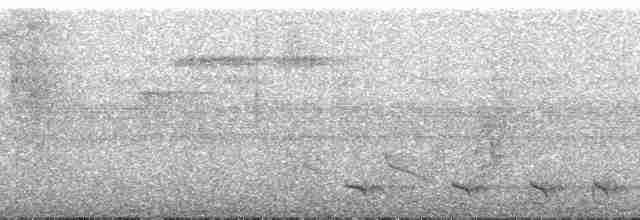 Spot-tailed Antwren - ML134619