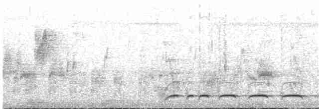holoubek vlnkovaný - ML134626471