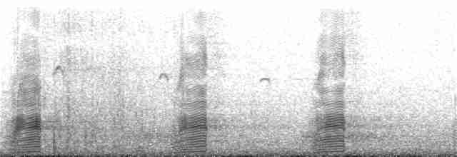 ברווז עקוד-מקור מזרחי - ML134632061
