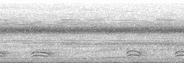 Rostflanken-Ameisenschnäpper - ML134665