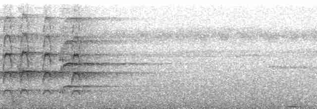 Расписная которра (picta) - ML134674