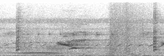 Channel-billed Toucan (Channel-billed) - ML134681