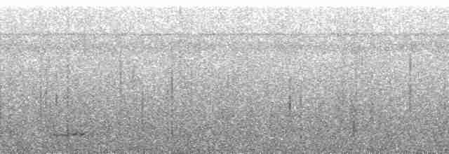 Cinereous Tinamou - ML134703