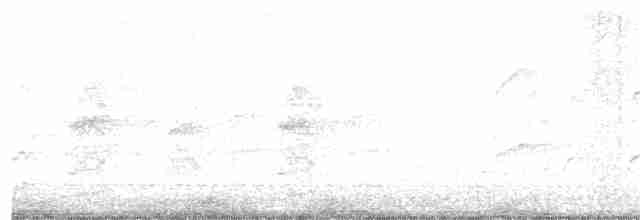 Rufous Whistler - ML134707071