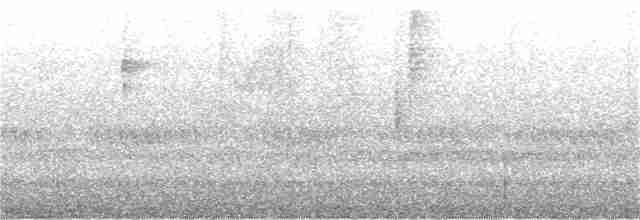 Серогрудый крапивник - ML134751031