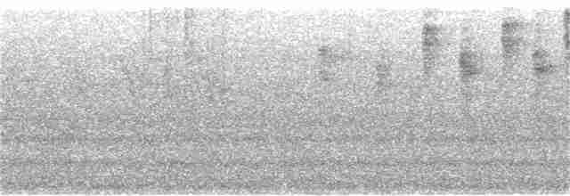 Коронник смугастоголовий - ML134751231