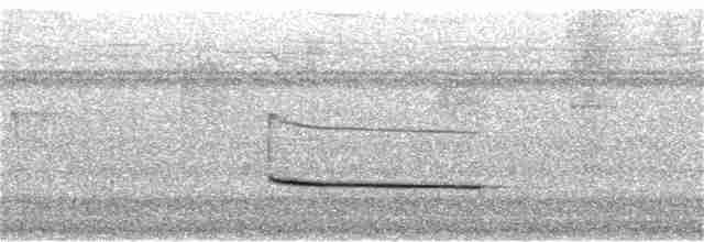 Серошапочный сорокопутовый виреон - ML134754271