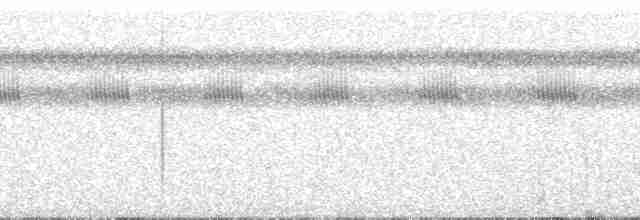 Graubrust-Ameisendrossel - ML134778