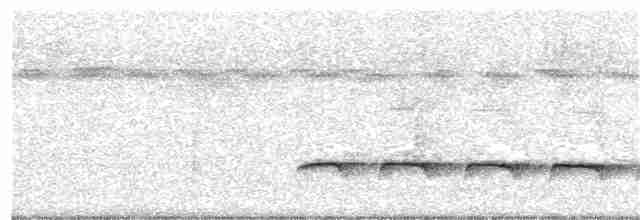 Weißbinden-Ameisenvogel - ML134794851