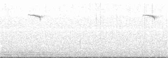 Дрізд-короткодзьоб плямистоволий - ML134800271