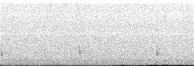 Дрозд-отшельник - ML134800571