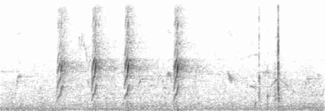 sirkirmalkoha - ML134802821