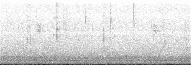 Sperlingsvogel, unbestimmt - ML134806901
