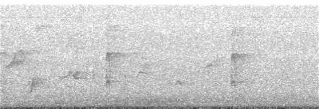 Great Spotted Woodpecker - ML134809031