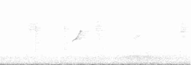 Eurasian Wren - ML134810391