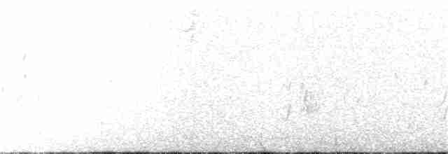 Savannah Serçesi [sandwichensis grubu] - ML134881101