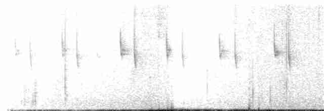 Белоухий колибри - ML134882661