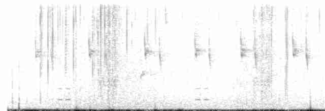Ak Kulaklı Kolibri - ML134882741